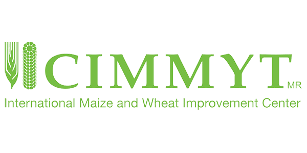 CIMMYT Logo